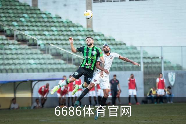 6686体育官网 公司简介